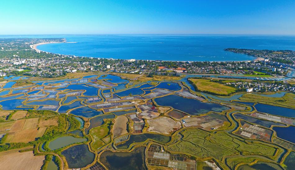 La protection des marais salins