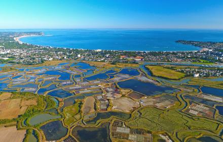 La protection des marais salins